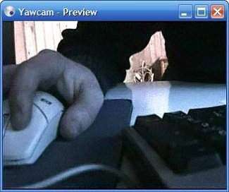 Aplikasi Webcam Terbaik untuk PC atau Laptop Yawcam